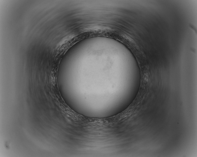 X0000099950869200806061540