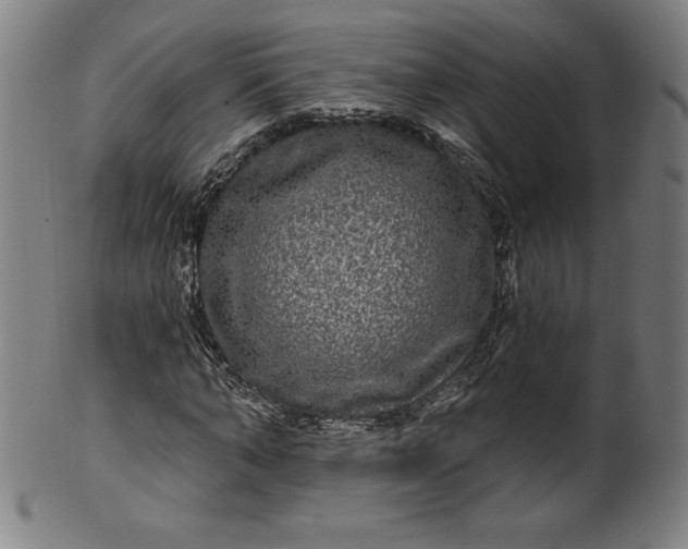 X0000099950870200806061540