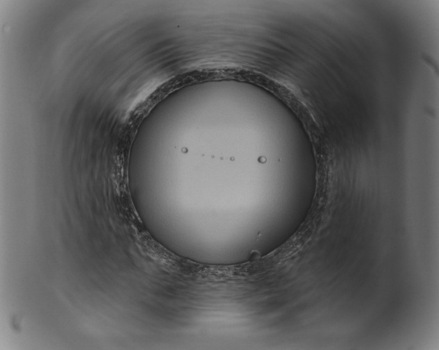 X0000099950871200806061540