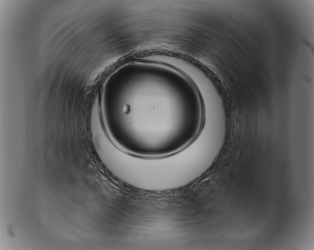 X0000099950872200806061540