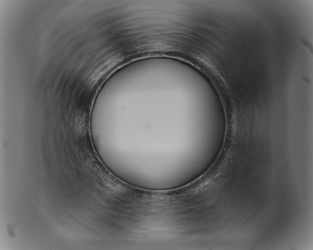 X0000099950873200806061540