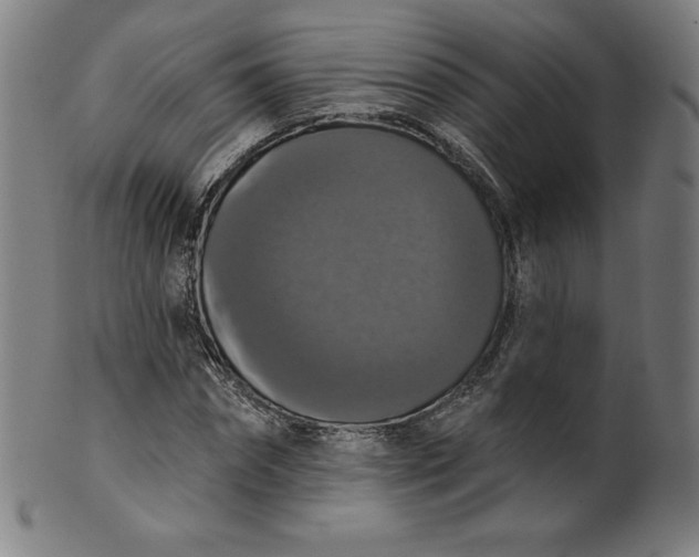 X0000099950874200806061540