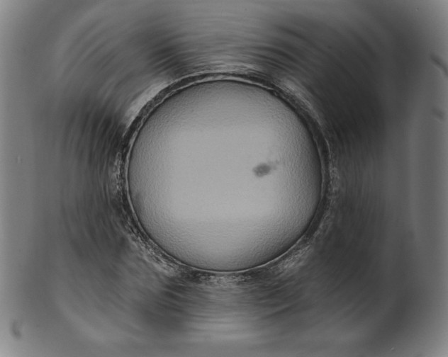 X0000099950875200806061540