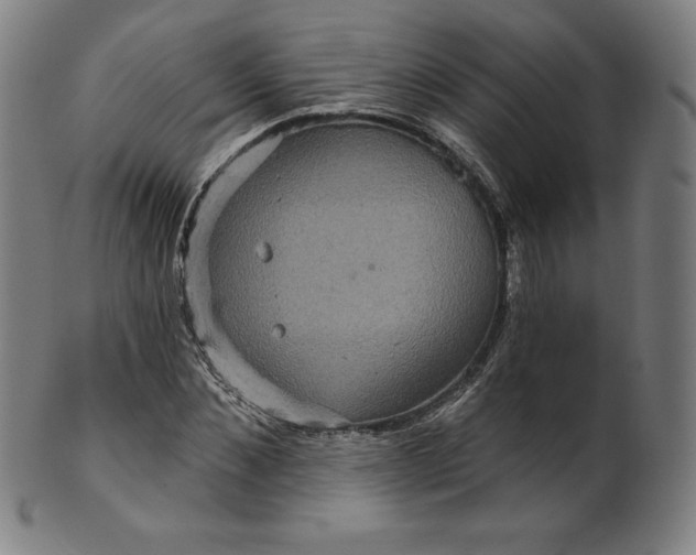 X0000099950876200806061540