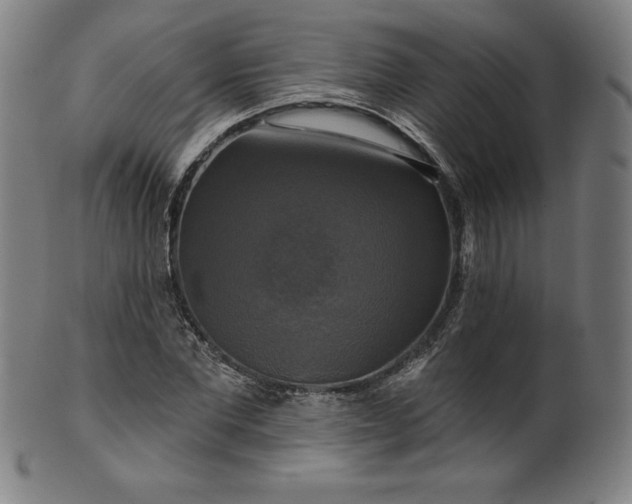 X0000099950877200806061540