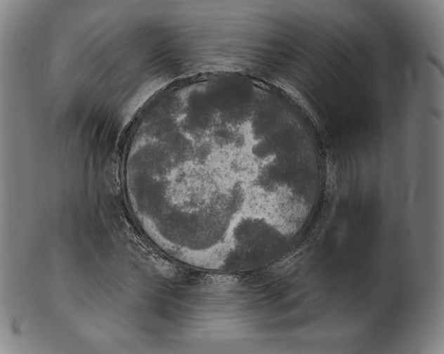 X0000099950878200806061540