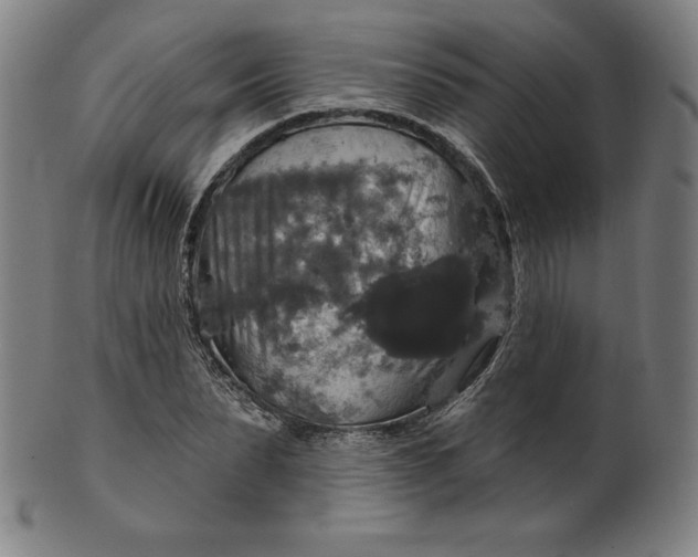 X0000099950879200806061540