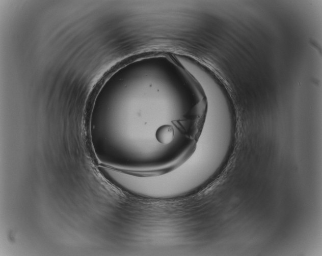 X0000099950880200806061540