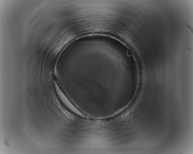 X0000099950881200806061540