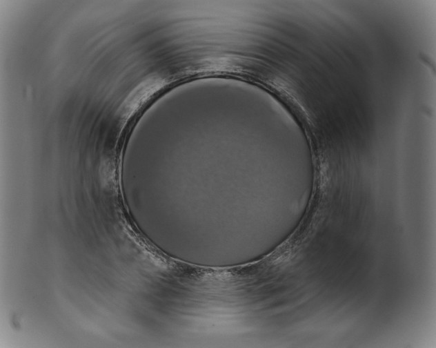 X0000099950882200806061540