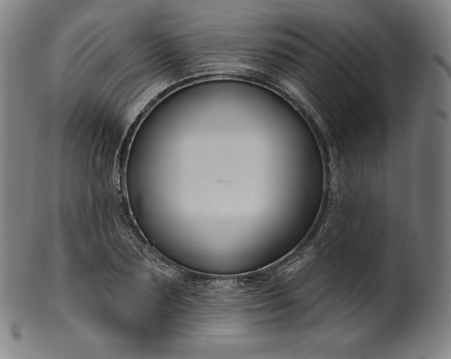 X0000099950883200806061540