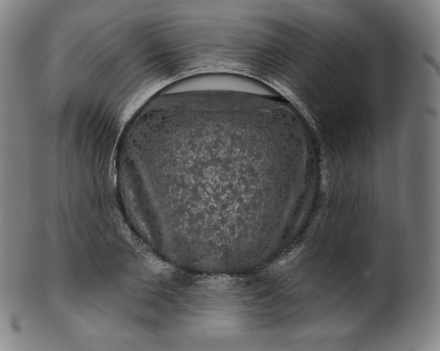 X0000099950885200806061540