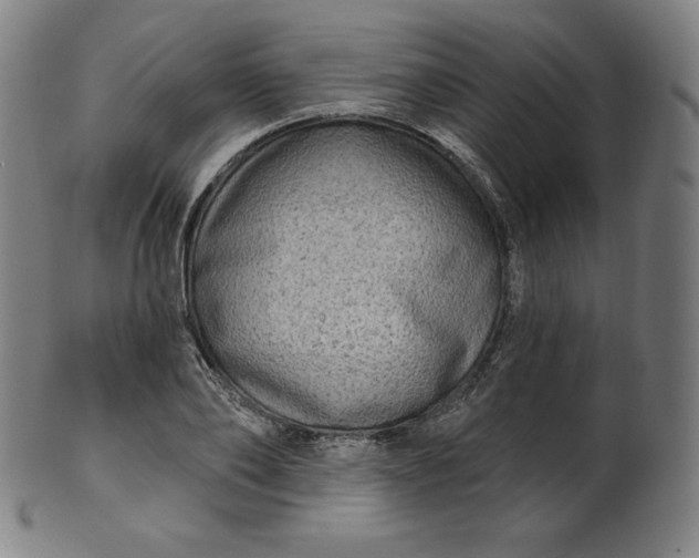 X0000099950886200806061540