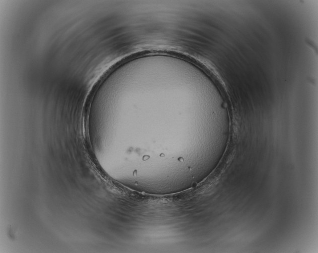 X0000099950887200806061540