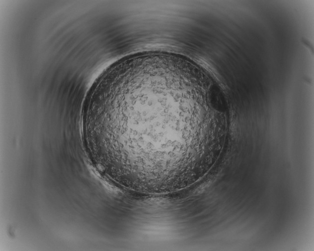 X0000099950888200806061540