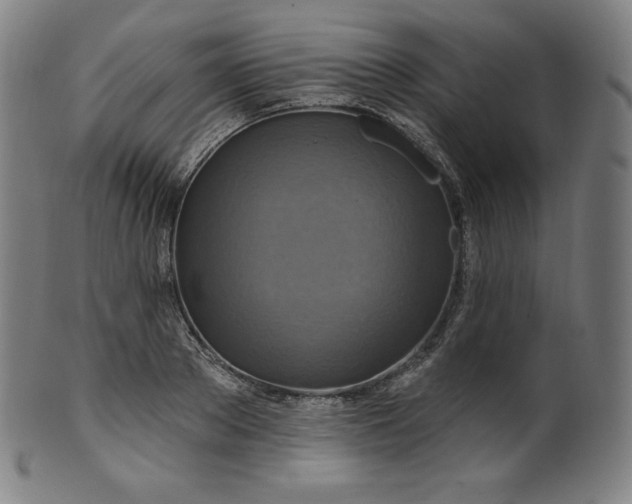 X0000099950889200806061540