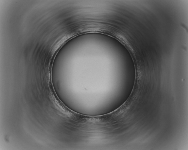 X0000099950890200806061539