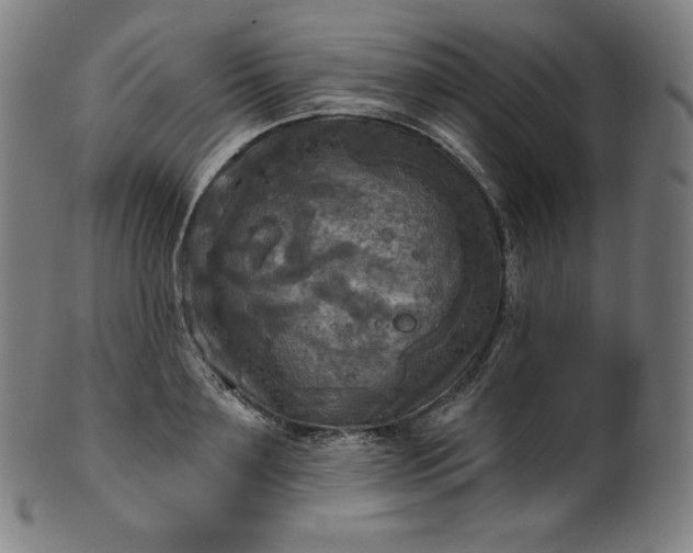 X0000099950891200806061539