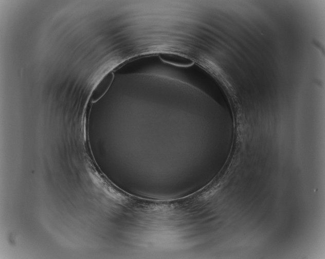 X0000099950892200806061539