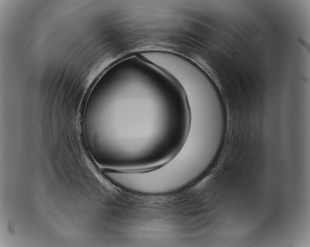 X0000099950893200806061539