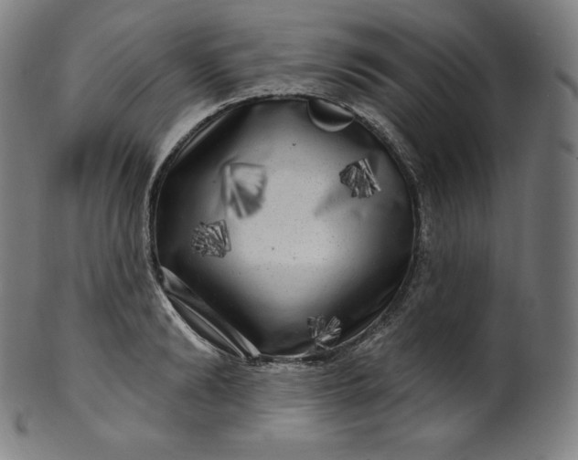 X0000099950894200806061539