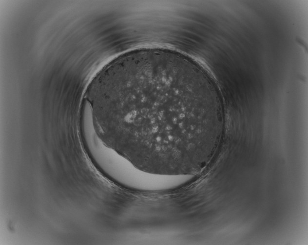 X0000099950895200806061539