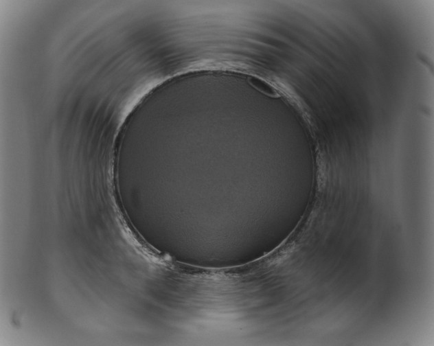 X0000099950896200806061539