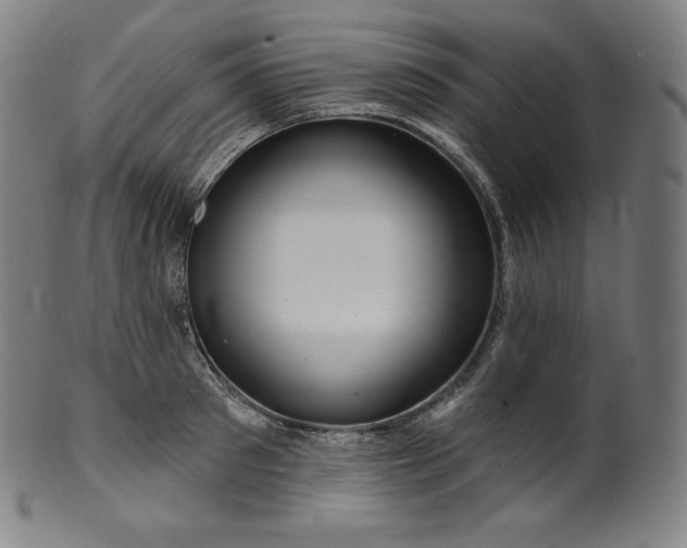 X0000099950897200806061539