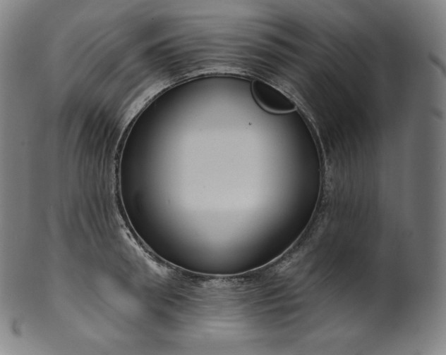 X0000099950898200806061539