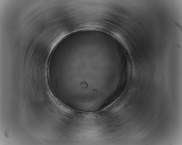 X0000099950899200806061539