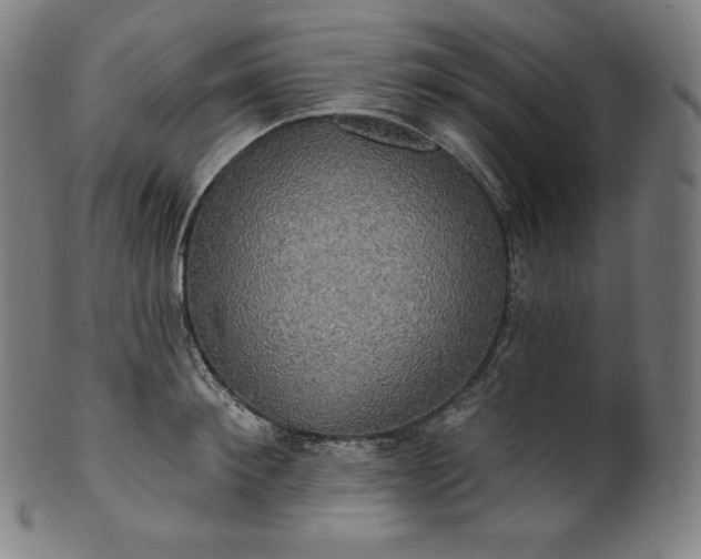 X0000099950900200806061539