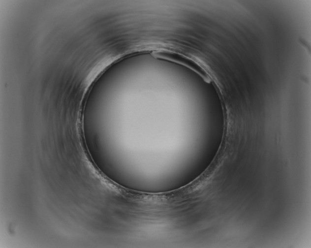 X0000099950901200806061539