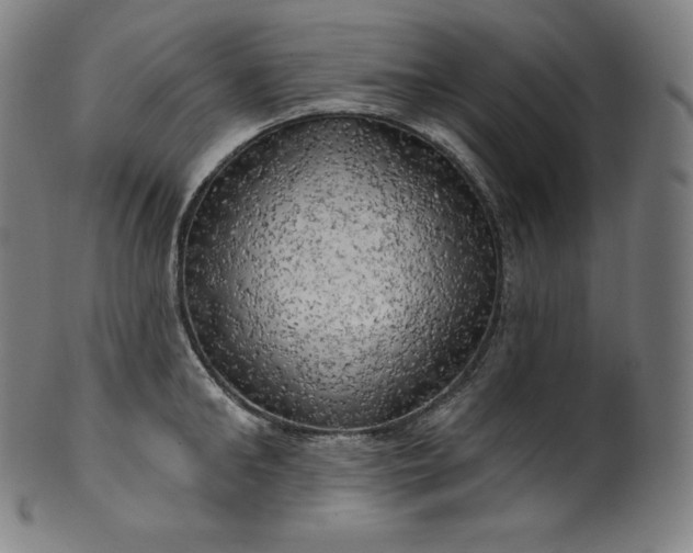 X0000099950902200806061539