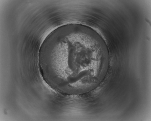 X0000099950903200806061539