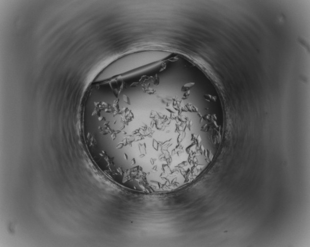 X0000099950904200806061539