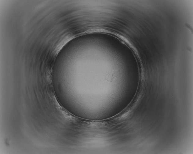 X0000099950905200806061539