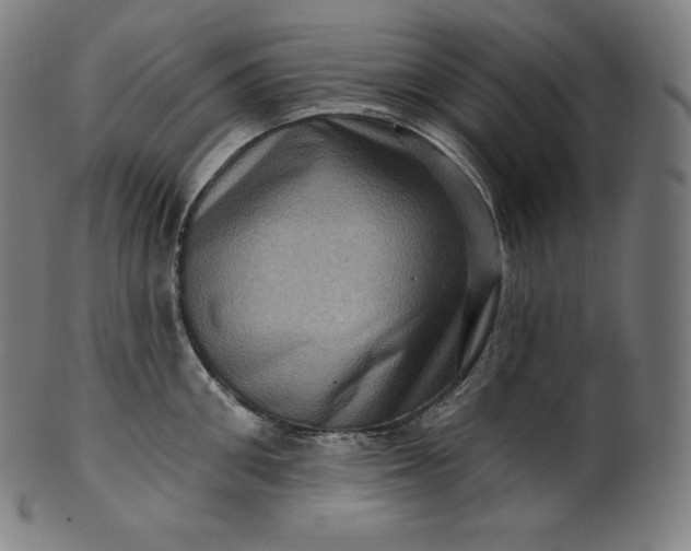 X0000099950906200806061539