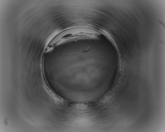 X0000099950907200806061539