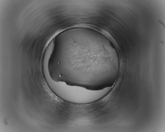 X0000099950908200806061539