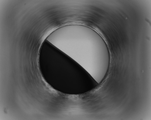 X0000099950909200806061539