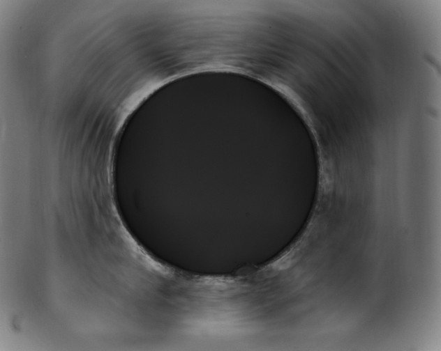 X0000099950910200806061539