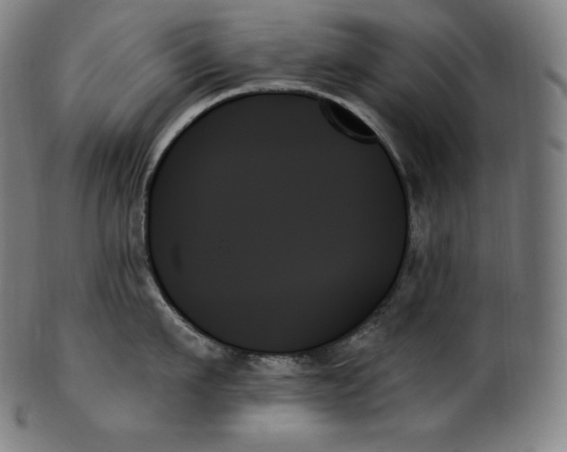 X0000099950911200806061539