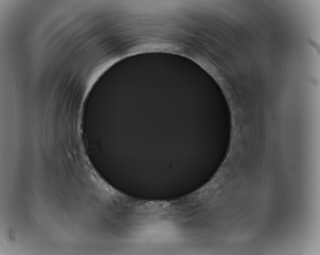 X0000099950912200806061539