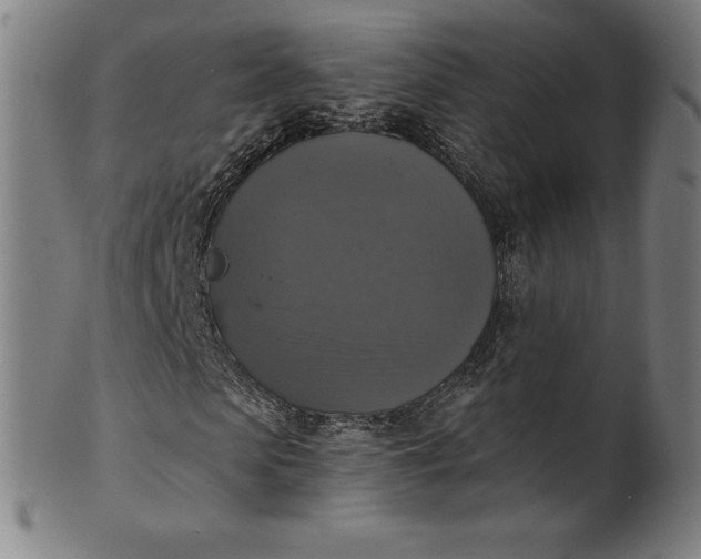 X0000099950913200806061539