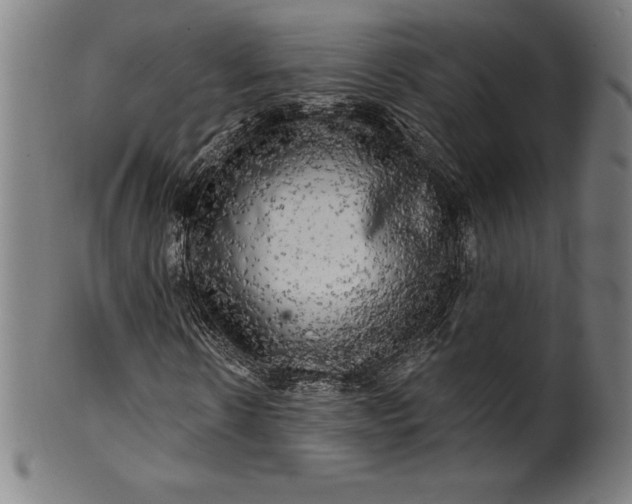 X0000099950914200806061539