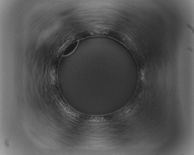 X0000099950915200806061539