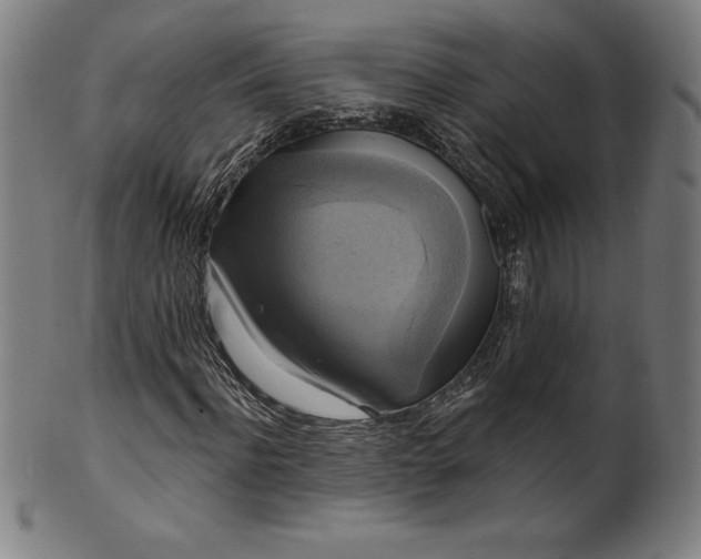 X0000099950916200806061539