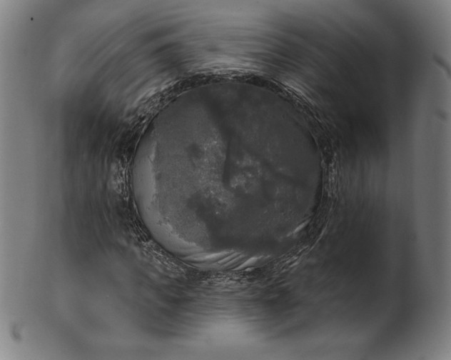 X0000099950917200806061539