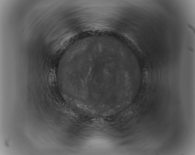 X0000099950918200806061539