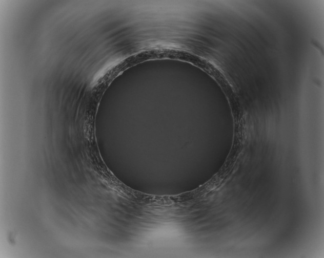 X0000099950919200806061539